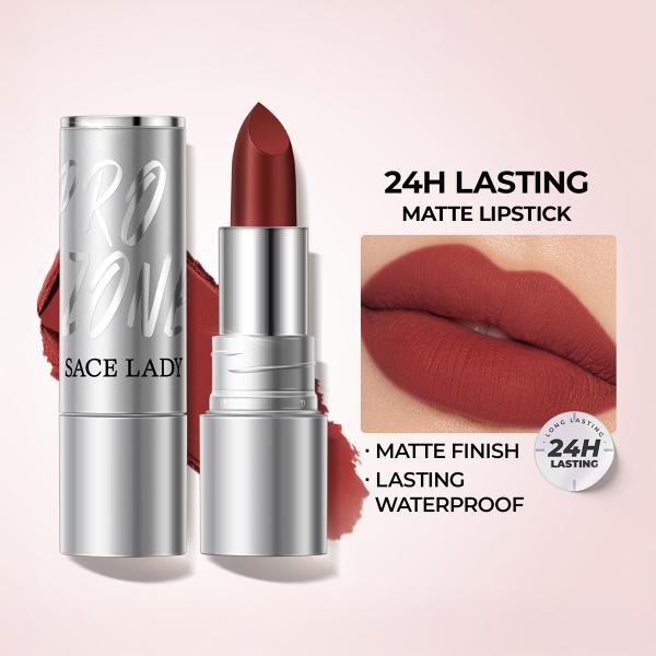 24H Lasting Matte Lipstick + Waterproof High Pigmented Matte Lip Makeup