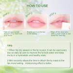 Moisturizing Lip Balm with Plant Extract - Lip Mask to Repair & Lighten Lip Lines